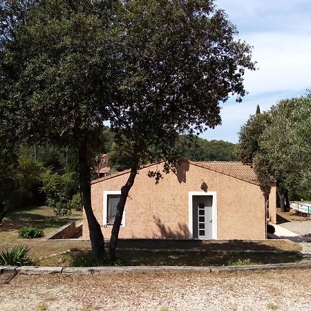Comorebi Provence Entrecasteaux Exterior photo
