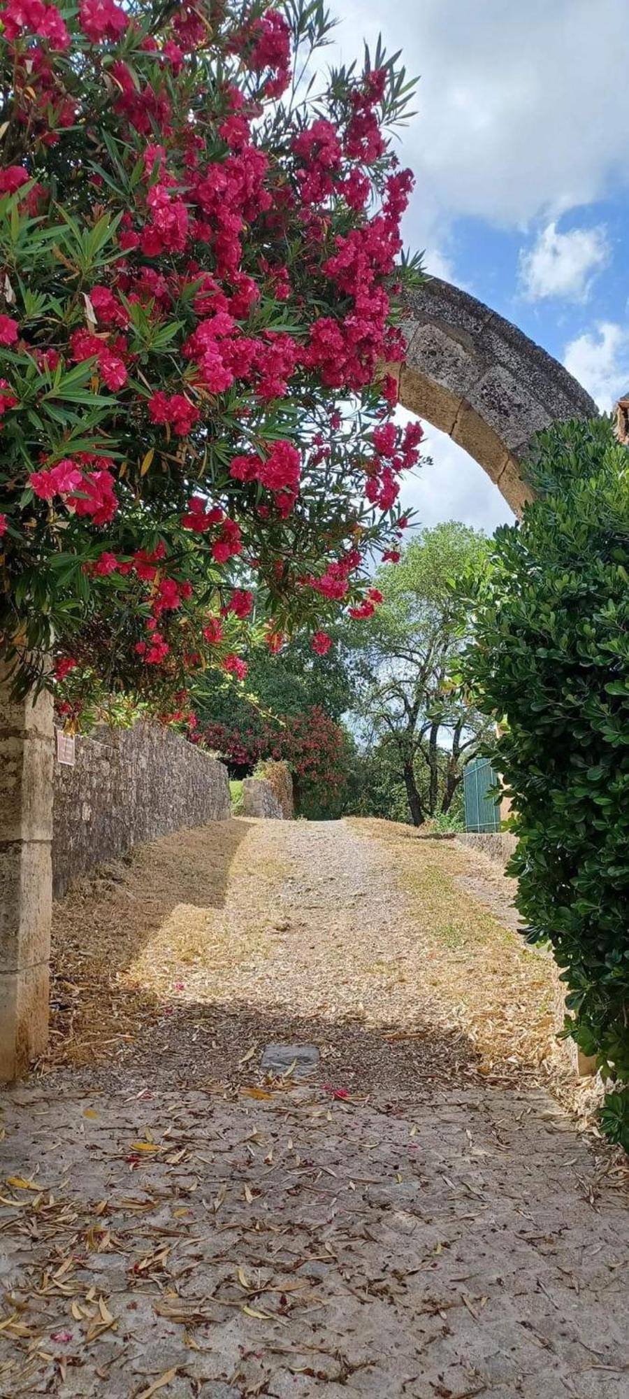 Comorebi Provence Entrecasteaux Exterior photo
